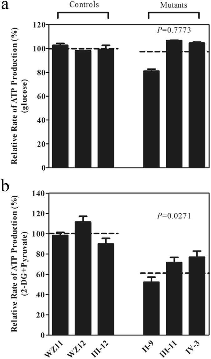 https://cdn.ncbi.nlm.nih.gov/pmc/blobs/ff48/5515948/26dc29f5d848/41598_2017_5571_Fig5_HTML.jpg