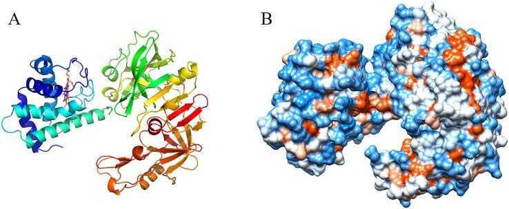 https://cdn.ncbi.nlm.nih.gov/pmc/blobs/ff49/7322683/4dbbbfa9ead4/gr4.jpg
