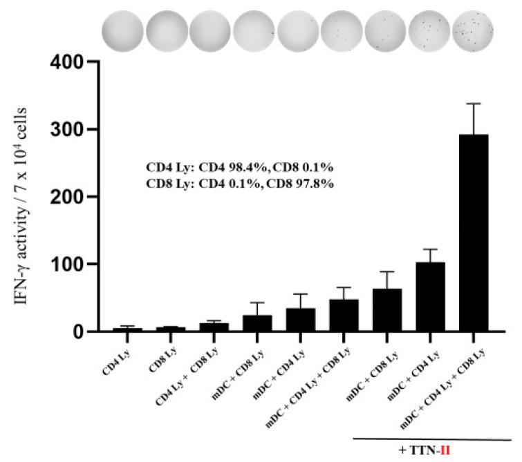https://cdn.ncbi.nlm.nih.gov/pmc/blobs/ff4a/11674441/3c7672ca5141/cancers-16-04204-g003.jpg