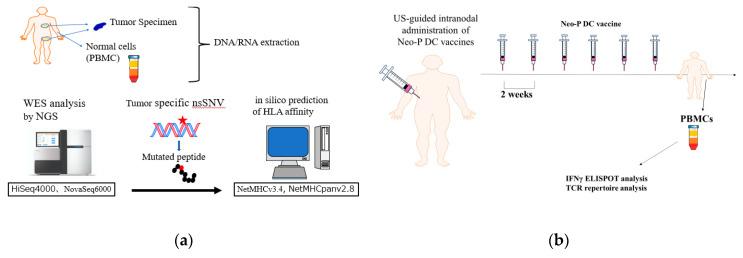 https://cdn.ncbi.nlm.nih.gov/pmc/blobs/ff4a/11674441/a2e9bdbb68a7/cancers-16-04204-g001.jpg