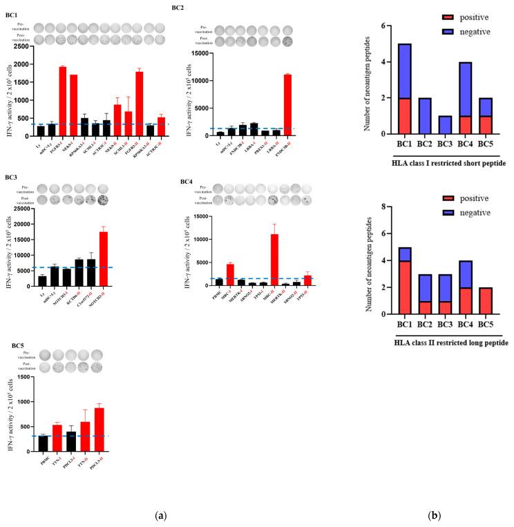 https://cdn.ncbi.nlm.nih.gov/pmc/blobs/ff4a/11674441/a3421f370a33/cancers-16-04204-g002.jpg