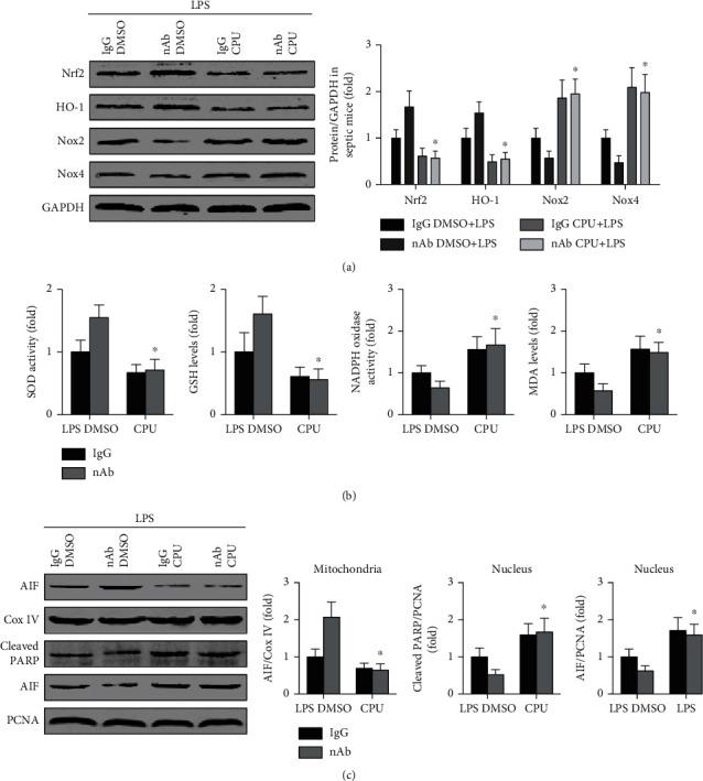 https://cdn.ncbi.nlm.nih.gov/pmc/blobs/ff4a/7896865/7bccd8d8286c/OMCL2021-6616422.007.jpg