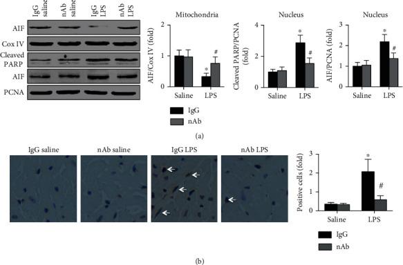 https://cdn.ncbi.nlm.nih.gov/pmc/blobs/ff4a/7896865/9bf0af7ff1a1/OMCL2021-6616422.005.jpg