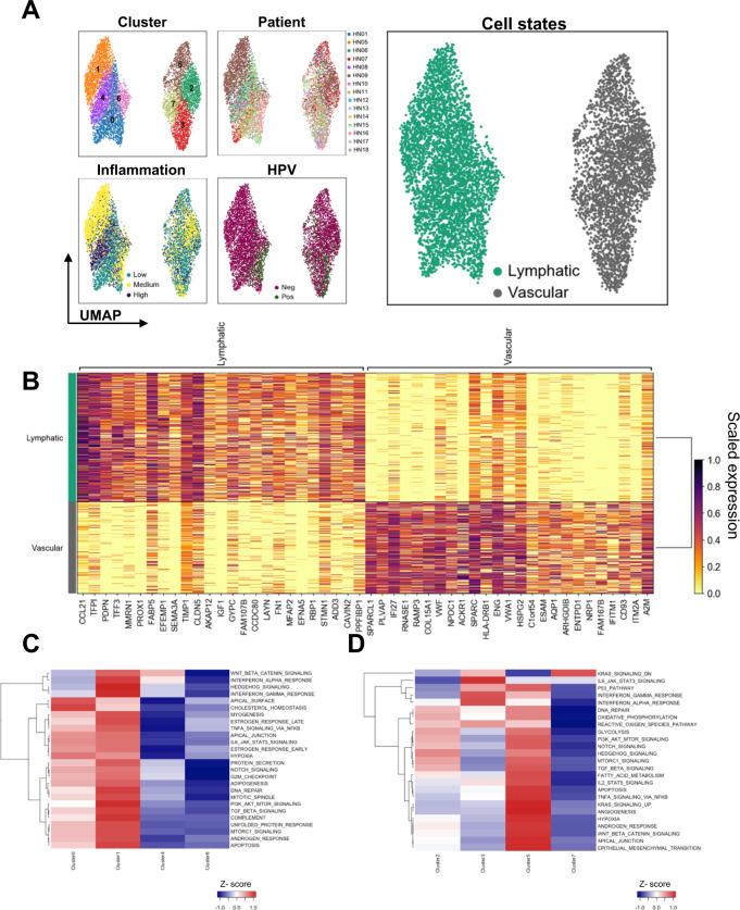 https://cdn.ncbi.nlm.nih.gov/pmc/blobs/ff4a/8683505/1761e69ac525/41467_2021_27619_Fig6_HTML.jpg