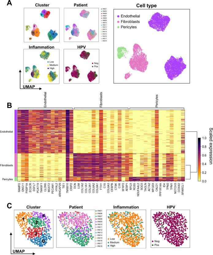 https://cdn.ncbi.nlm.nih.gov/pmc/blobs/ff4a/8683505/64dfedc22eb0/41467_2021_27619_Fig4_HTML.jpg