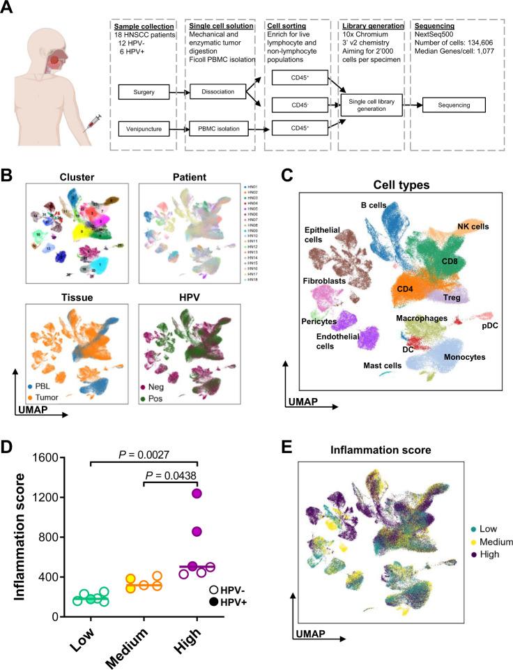 https://cdn.ncbi.nlm.nih.gov/pmc/blobs/ff4a/8683505/87e5a4b74aab/41467_2021_27619_Fig1_HTML.jpg
