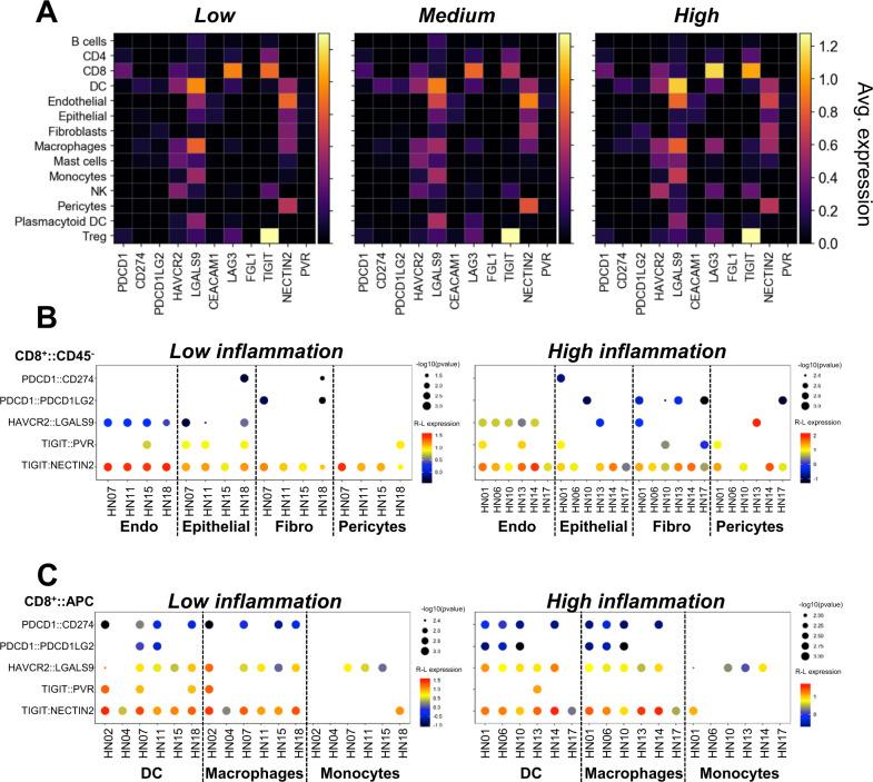 https://cdn.ncbi.nlm.nih.gov/pmc/blobs/ff4a/8683505/93a4d6b1939f/41467_2021_27619_Fig7_HTML.jpg
