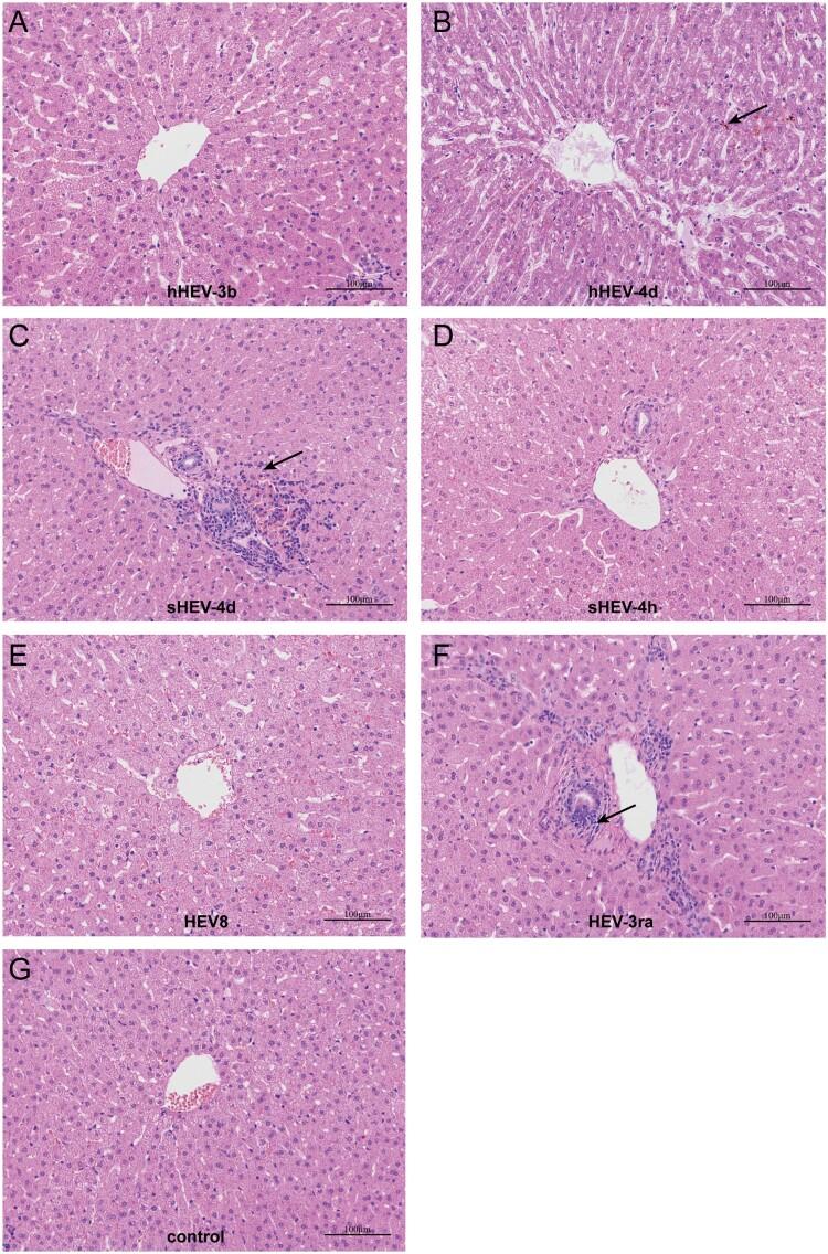 https://cdn.ncbi.nlm.nih.gov/pmc/blobs/ff4b/7781933/50210830f299/TEMI_A_1858178_F0005_OC.jpg
