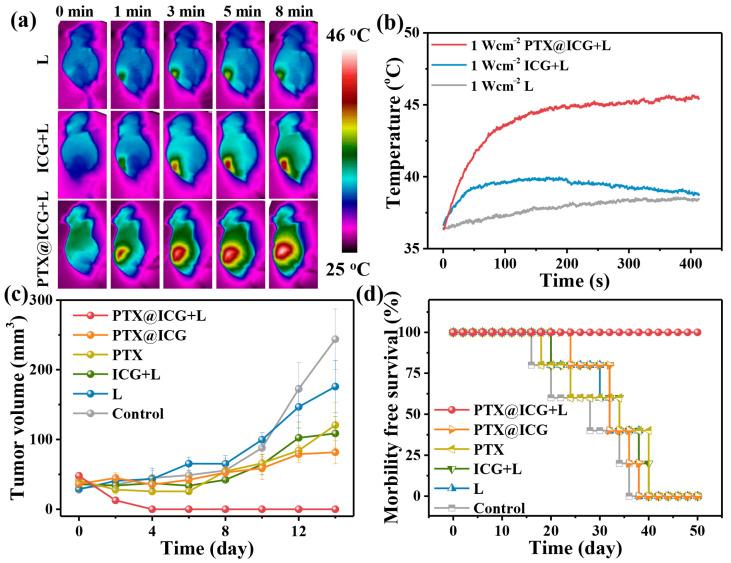 https://cdn.ncbi.nlm.nih.gov/pmc/blobs/ff4c/10534536/a2fb9946956e/nanomaterials-13-02499-g004.jpg