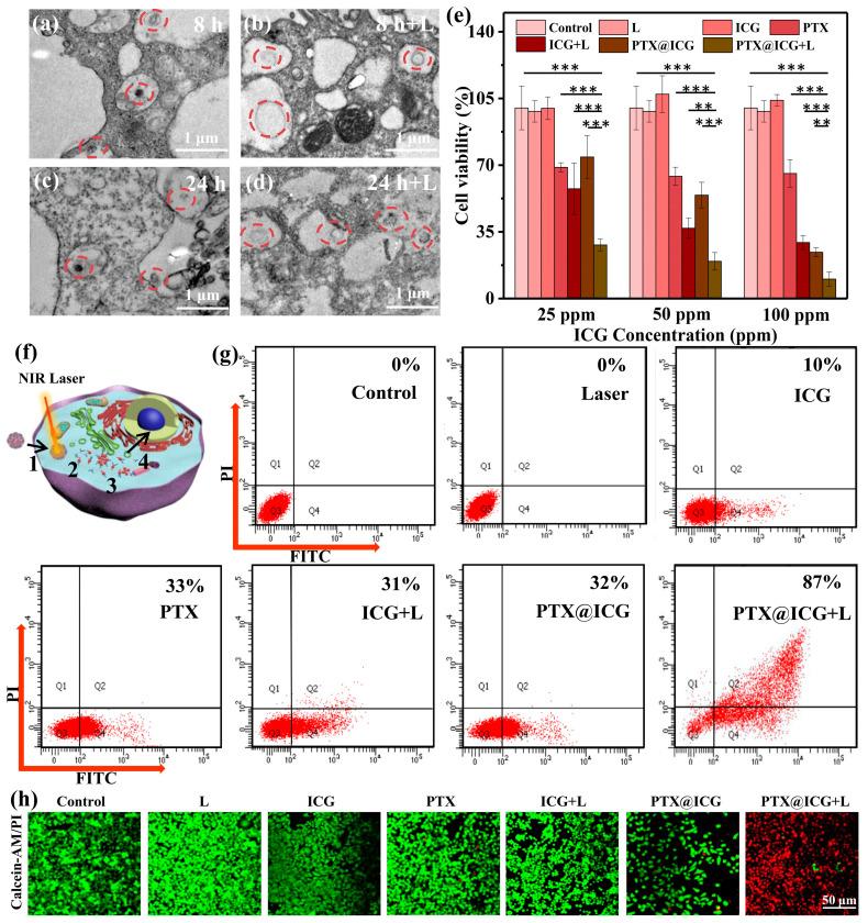 https://cdn.ncbi.nlm.nih.gov/pmc/blobs/ff4c/10534536/de8a29f870f8/nanomaterials-13-02499-g003.jpg