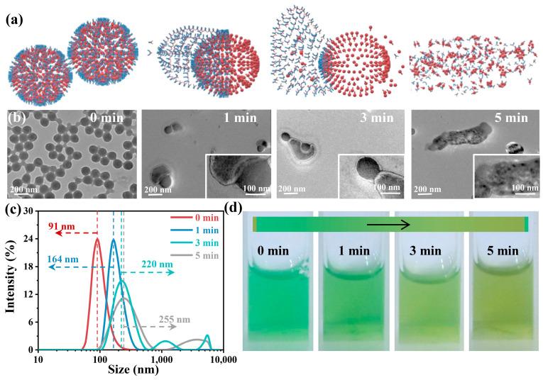 https://cdn.ncbi.nlm.nih.gov/pmc/blobs/ff4c/10534536/e0c3cb58ec49/nanomaterials-13-02499-g002.jpg