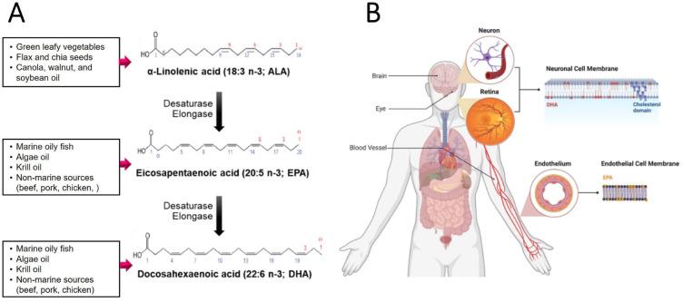https://cdn.ncbi.nlm.nih.gov/pmc/blobs/ff4c/11377208/623220a1db5d/kosfa-44-5-988-g2.jpg