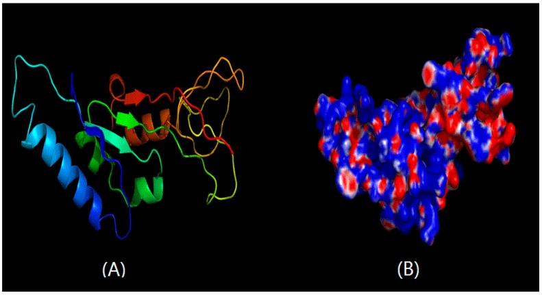 https://cdn.ncbi.nlm.nih.gov/pmc/blobs/ff4c/4926359/3118c3224ff7/ijms-17-00825-g002.jpg