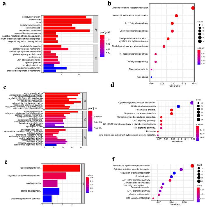https://cdn.ncbi.nlm.nih.gov/pmc/blobs/ff4e/10769606/03b096608f9e/gr-16-318-g002.jpg