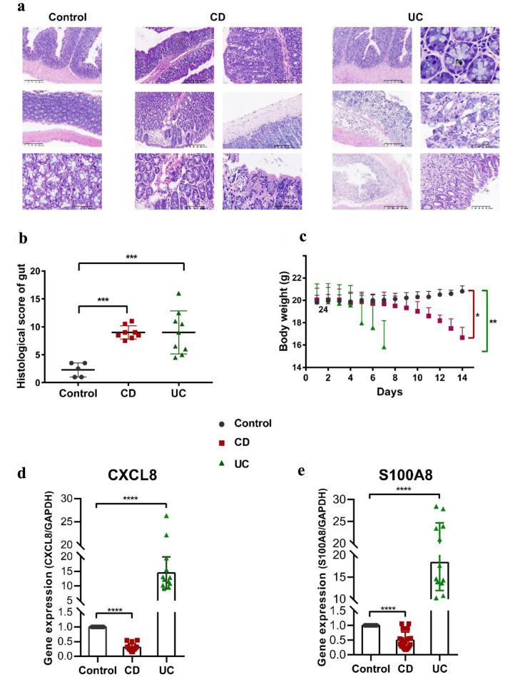 https://cdn.ncbi.nlm.nih.gov/pmc/blobs/ff4e/10769606/305576104add/gr-16-318-g007.jpg