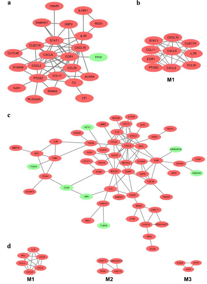 https://cdn.ncbi.nlm.nih.gov/pmc/blobs/ff4e/10769606/b0a30ced430a/gr-16-318-g005.jpg