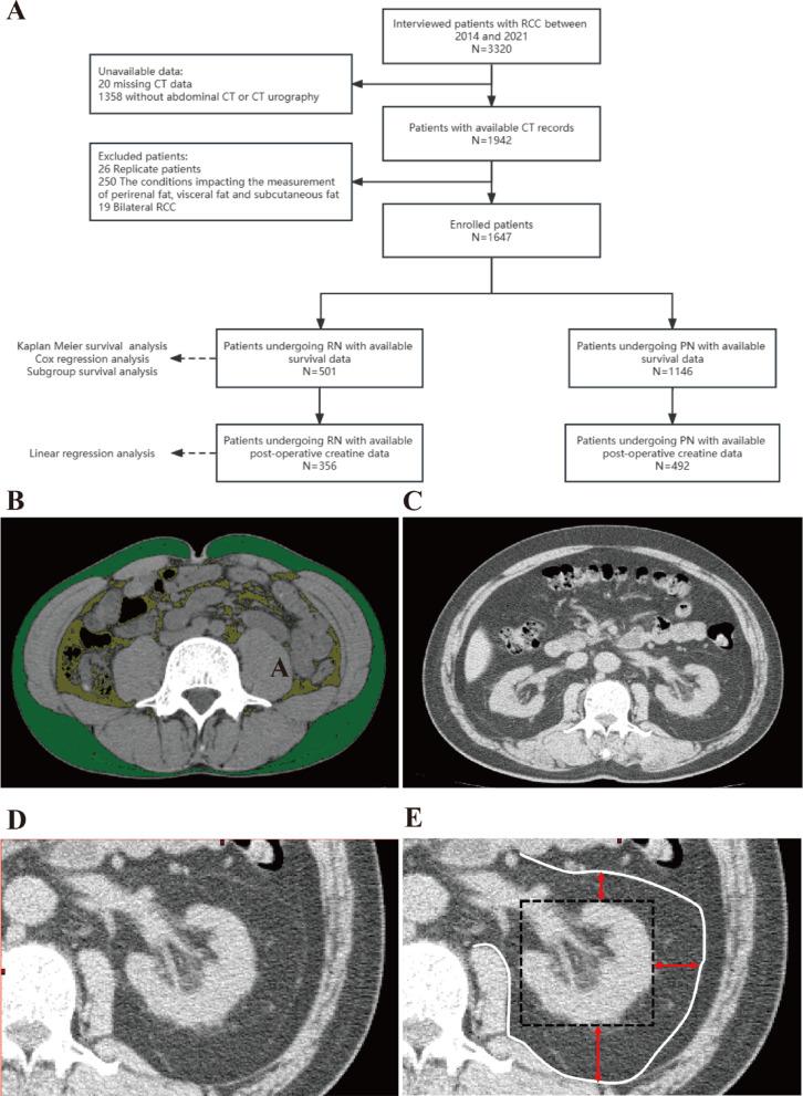 https://cdn.ncbi.nlm.nih.gov/pmc/blobs/ff51/12405544/8d045e6eab54/41598_2025_17865_Fig1_HTML.jpg