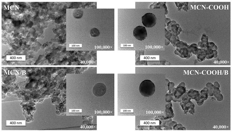 https://cdn.ncbi.nlm.nih.gov/pmc/blobs/ff53/12348955/bc8cdbec6b73/molecules-30-03055-g005.jpg