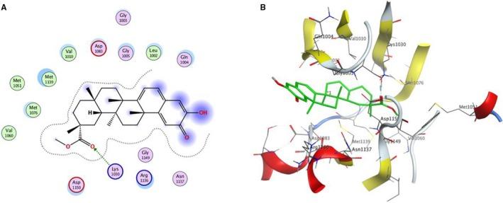 https://cdn.ncbi.nlm.nih.gov/pmc/blobs/ff55/6815816/08a427d22506/JCMM-23-7545-g007.jpg