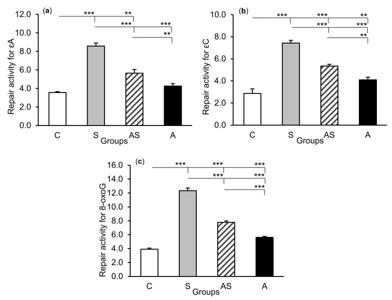https://cdn.ncbi.nlm.nih.gov/pmc/blobs/ff55/7589085/00ebe794d9fb/ijms-21-07762-g006.jpg