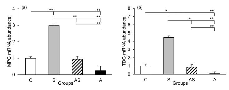https://cdn.ncbi.nlm.nih.gov/pmc/blobs/ff55/7589085/5f3ce1af4bb1/ijms-21-07762-g003a.jpg