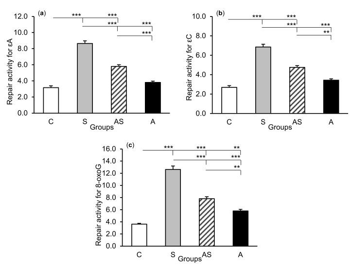 https://cdn.ncbi.nlm.nih.gov/pmc/blobs/ff55/7589085/6a3067e8406d/ijms-21-07762-g005.jpg