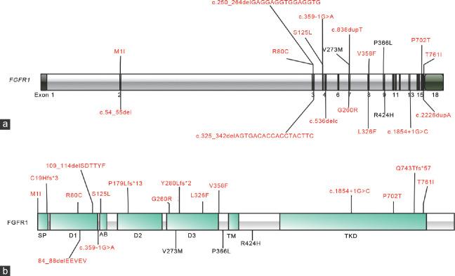 https://cdn.ncbi.nlm.nih.gov/pmc/blobs/ff56/11280213/1ac96fde4840/AJA-26-426-g001.jpg