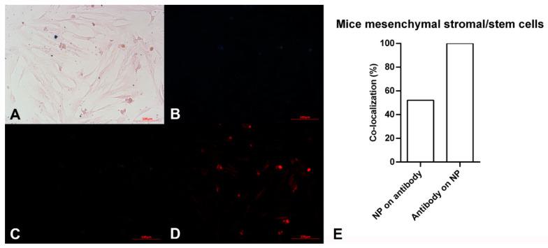 https://cdn.ncbi.nlm.nih.gov/pmc/blobs/ff57/9953982/3f739674db4e/biosensors-13-00268-g003.jpg