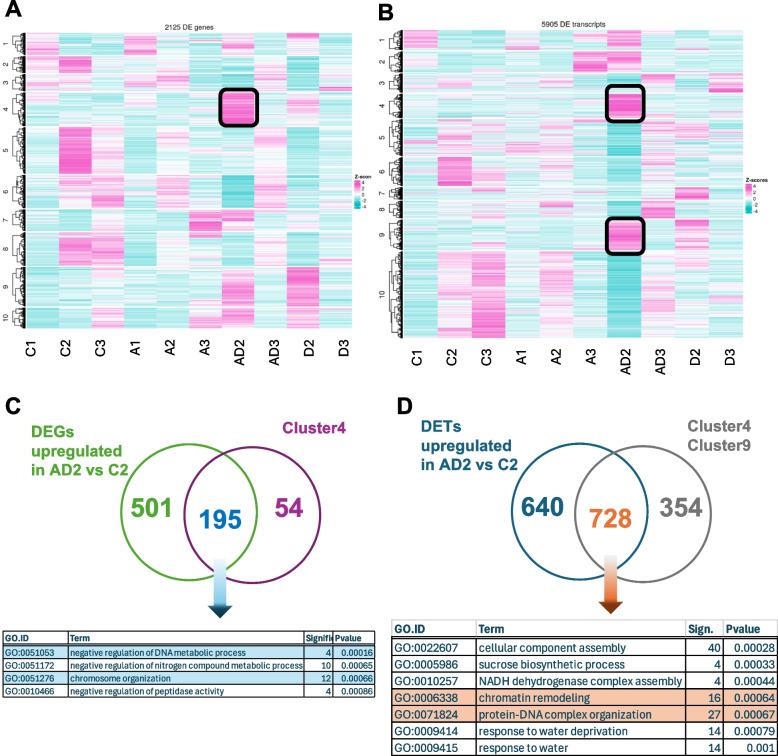https://cdn.ncbi.nlm.nih.gov/pmc/blobs/ff5a/11977895/542786348ce3/12870_2025_6485_Fig5_HTML.jpg