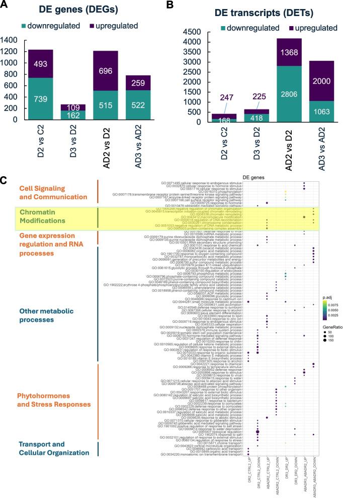 https://cdn.ncbi.nlm.nih.gov/pmc/blobs/ff5a/11977895/9c47ce45d0ee/12870_2025_6485_Fig4_HTML.jpg
