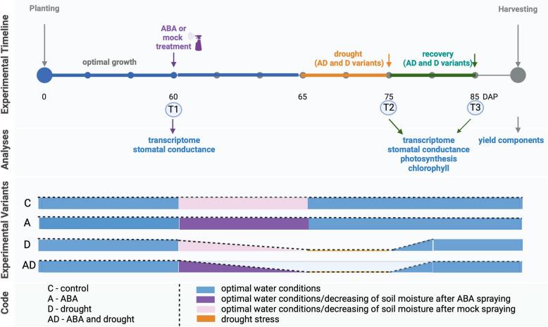 https://cdn.ncbi.nlm.nih.gov/pmc/blobs/ff5a/11977895/d3677ad08c58/12870_2025_6485_Fig1_HTML.jpg