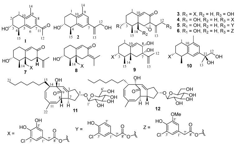 https://cdn.ncbi.nlm.nih.gov/pmc/blobs/ff5a/9698232/a634a379ed2a/marinedrugs-20-00712-g001.jpg