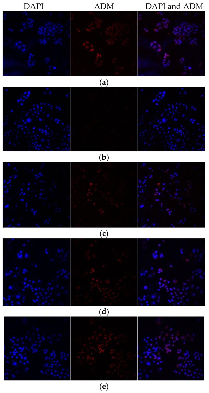 https://cdn.ncbi.nlm.nih.gov/pmc/blobs/ff5e/6274083/24d155e0f727/molecules-21-00852-g004a.jpg