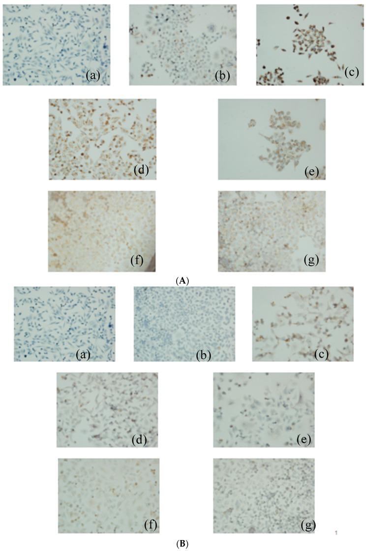 https://cdn.ncbi.nlm.nih.gov/pmc/blobs/ff5e/6274083/343d6008cb40/molecules-21-00852-g006a.jpg