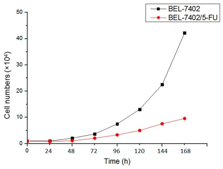 https://cdn.ncbi.nlm.nih.gov/pmc/blobs/ff5e/6274083/92cb9dd81806/molecules-21-00852-g001.jpg