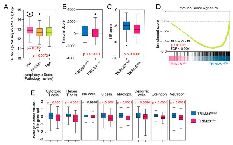 https://cdn.ncbi.nlm.nih.gov/pmc/blobs/ff5e/7650661/5d5e8cc0e920/cancers-12-02998-g004.jpg