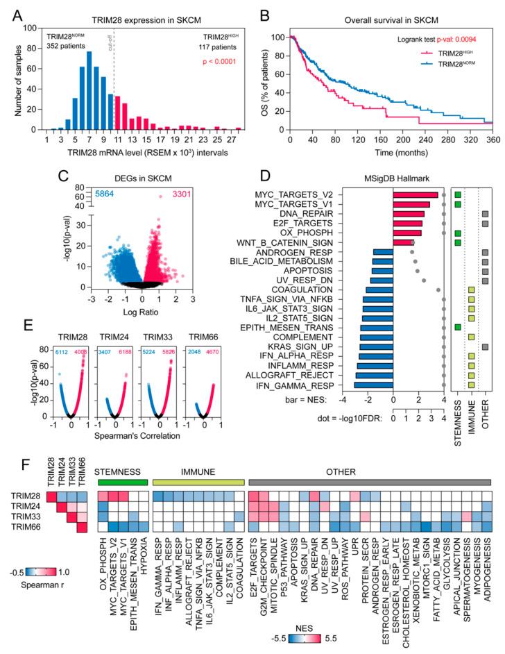 https://cdn.ncbi.nlm.nih.gov/pmc/blobs/ff5e/7650661/cb9233ea981a/cancers-12-02998-g001.jpg