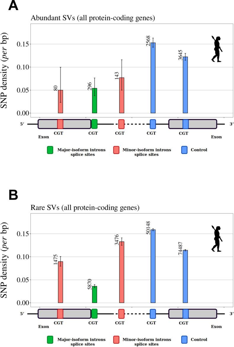 https://cdn.ncbi.nlm.nih.gov/pmc/blobs/ff5f/10932544/afc1821c3eaa/elife-93629-fig5-figsupp1.jpg