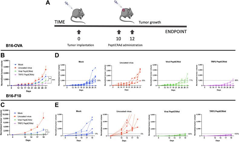 https://cdn.ncbi.nlm.nih.gov/pmc/blobs/ff61/8974425/5166264eec3c/canimm-9-981-g004.jpg
