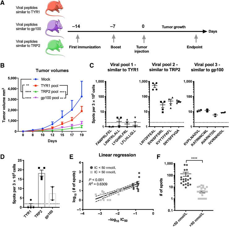https://cdn.ncbi.nlm.nih.gov/pmc/blobs/ff61/8974425/852d3f011393/canimm-9-981-g003.jpg