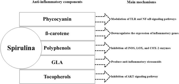 https://cdn.ncbi.nlm.nih.gov/pmc/blobs/ff63/12052714/cec090827fe5/FSN3-13-e70196-g001.jpg