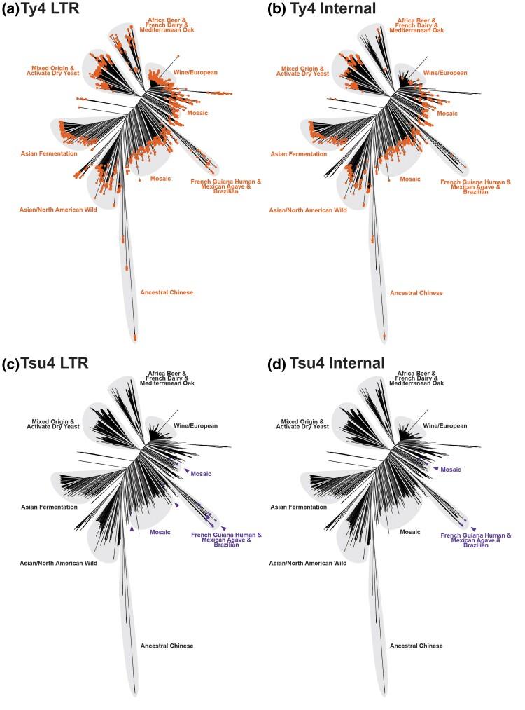 https://cdn.ncbi.nlm.nih.gov/pmc/blobs/ff65/11739139/70789d577ab7/evaf004f3.jpg