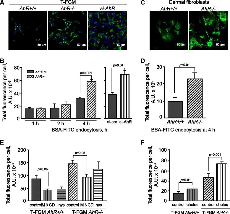 https://cdn.ncbi.nlm.nih.gov/pmc/blobs/ff65/4172968/db12bc89872f/12964_2014_57_Fig10_HTML.jpg