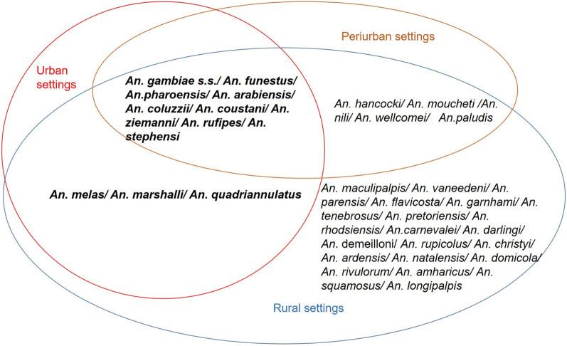 https://cdn.ncbi.nlm.nih.gov/pmc/blobs/ff65/8424958/432825936882/12936_2021_3891_Fig5_HTML.jpg