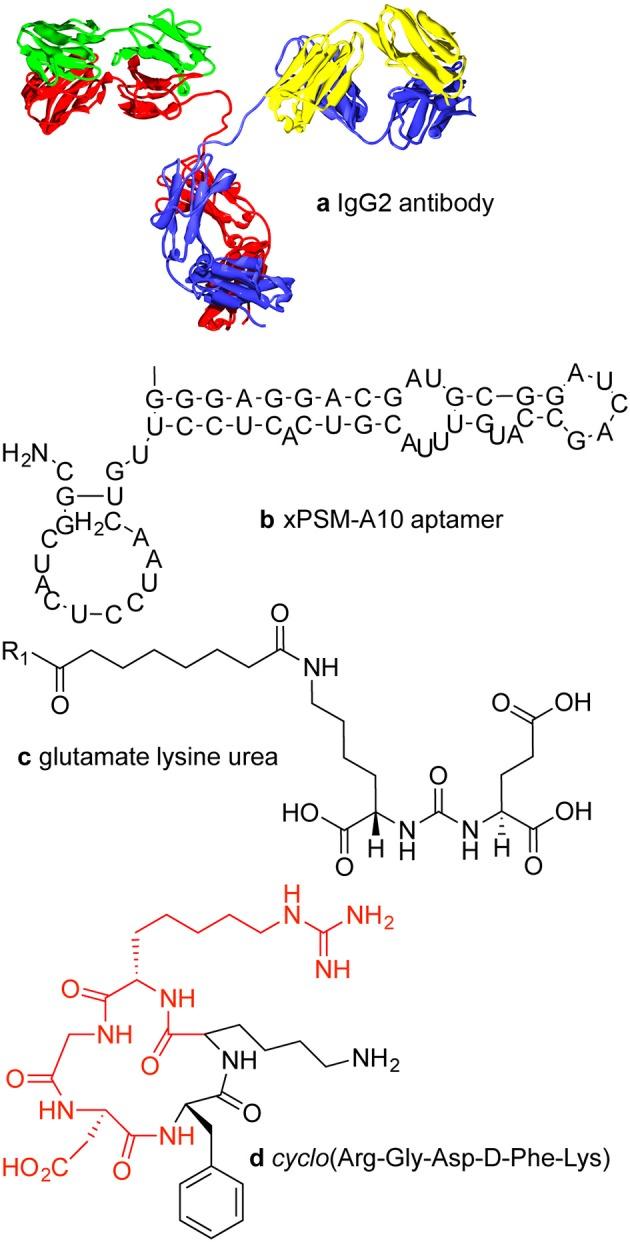 https://cdn.ncbi.nlm.nih.gov/pmc/blobs/ff67/4142601/02056769a67e/fchem-02-00069-g0001.jpg