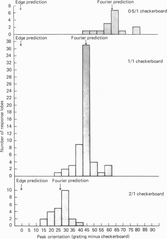 https://cdn.ncbi.nlm.nih.gov/pmc/blobs/ff70/1280915/ce3915237f53/jphysiol00871-0485-a.jpg