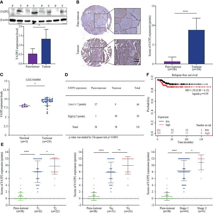 https://cdn.ncbi.nlm.nih.gov/pmc/blobs/ff73/8717782/7540e911fadc/fonc-11-737127-g005.jpg