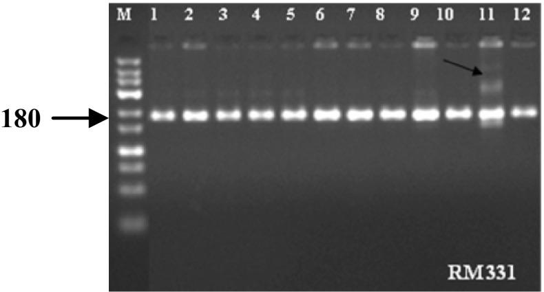https://cdn.ncbi.nlm.nih.gov/pmc/blobs/ff74/4746197/2aa24d6b9232/13205_2015_337_Fig2_HTML.jpg