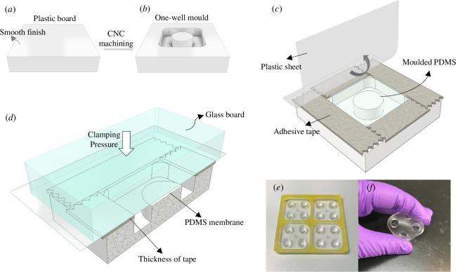 https://cdn.ncbi.nlm.nih.gov/pmc/blobs/ff75/11321861/d0e90a2ae737/rsos.240284.f001.jpg