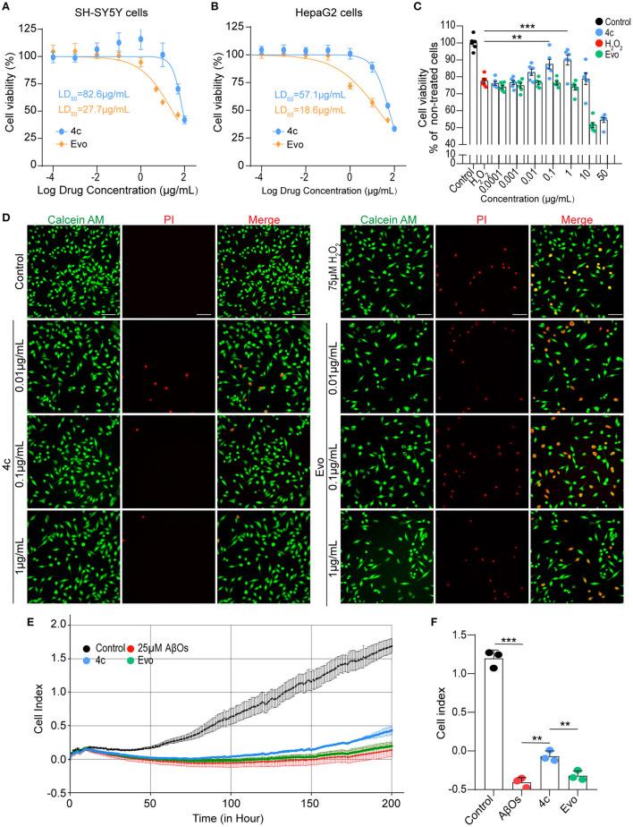 https://cdn.ncbi.nlm.nih.gov/pmc/blobs/ff77/9868638/7e37164a363b/fnmol-15-1025066-g0003.jpg